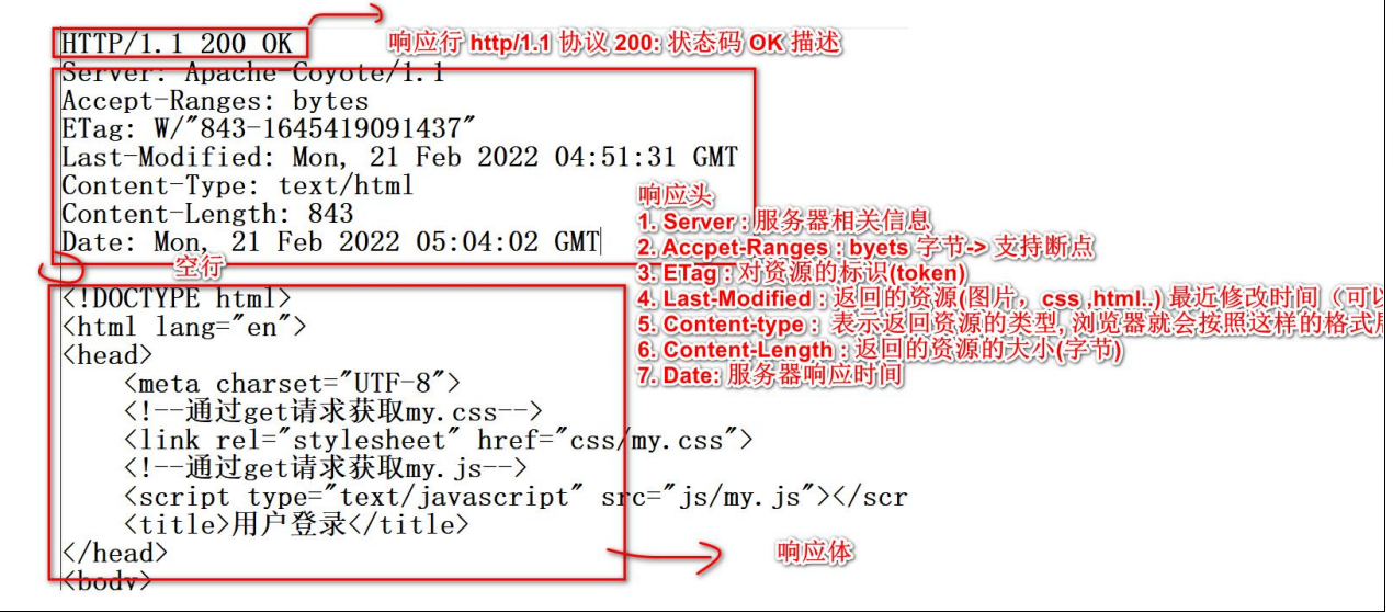 image-20241111101142759