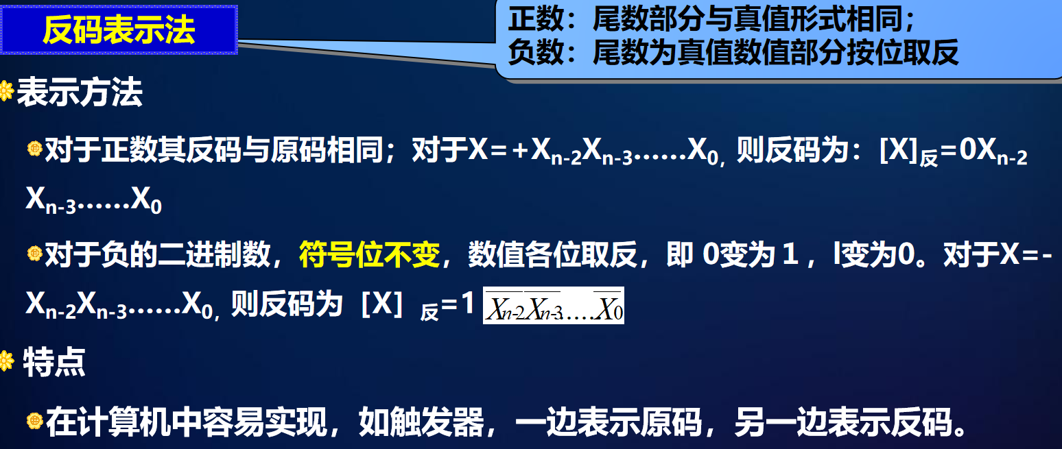 image-20250120155225008