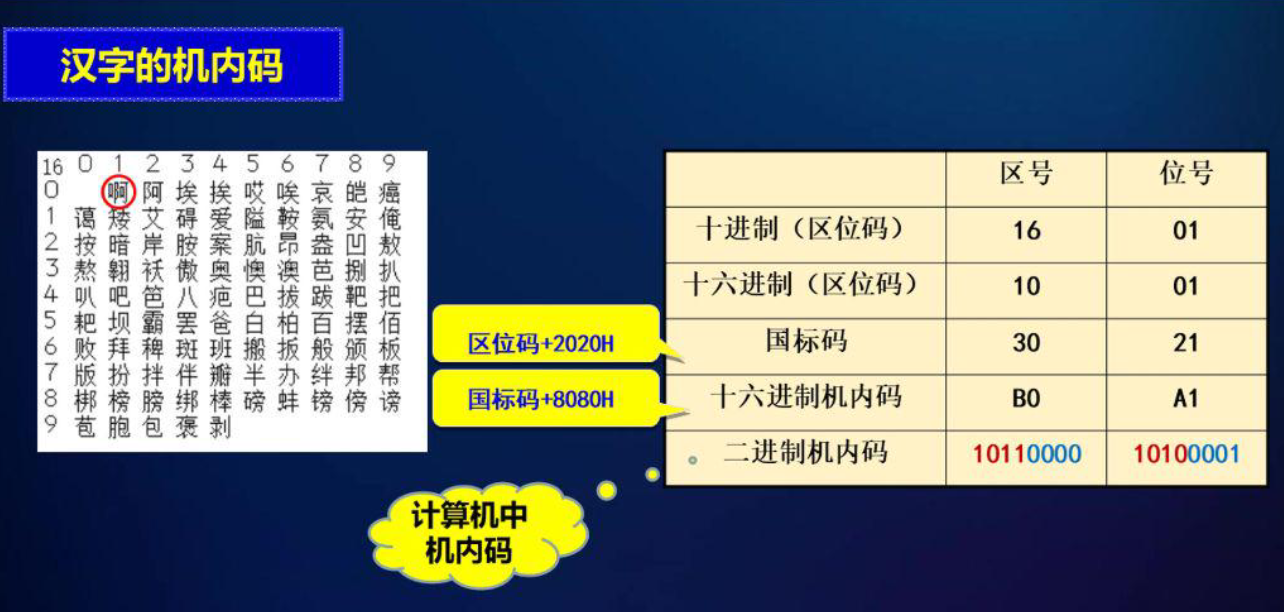 image-20250120165926146