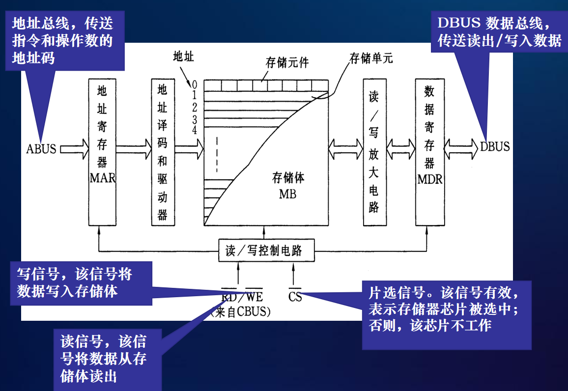 image-20250124135224786